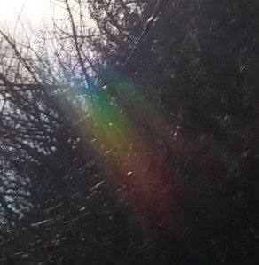 Rainbow light